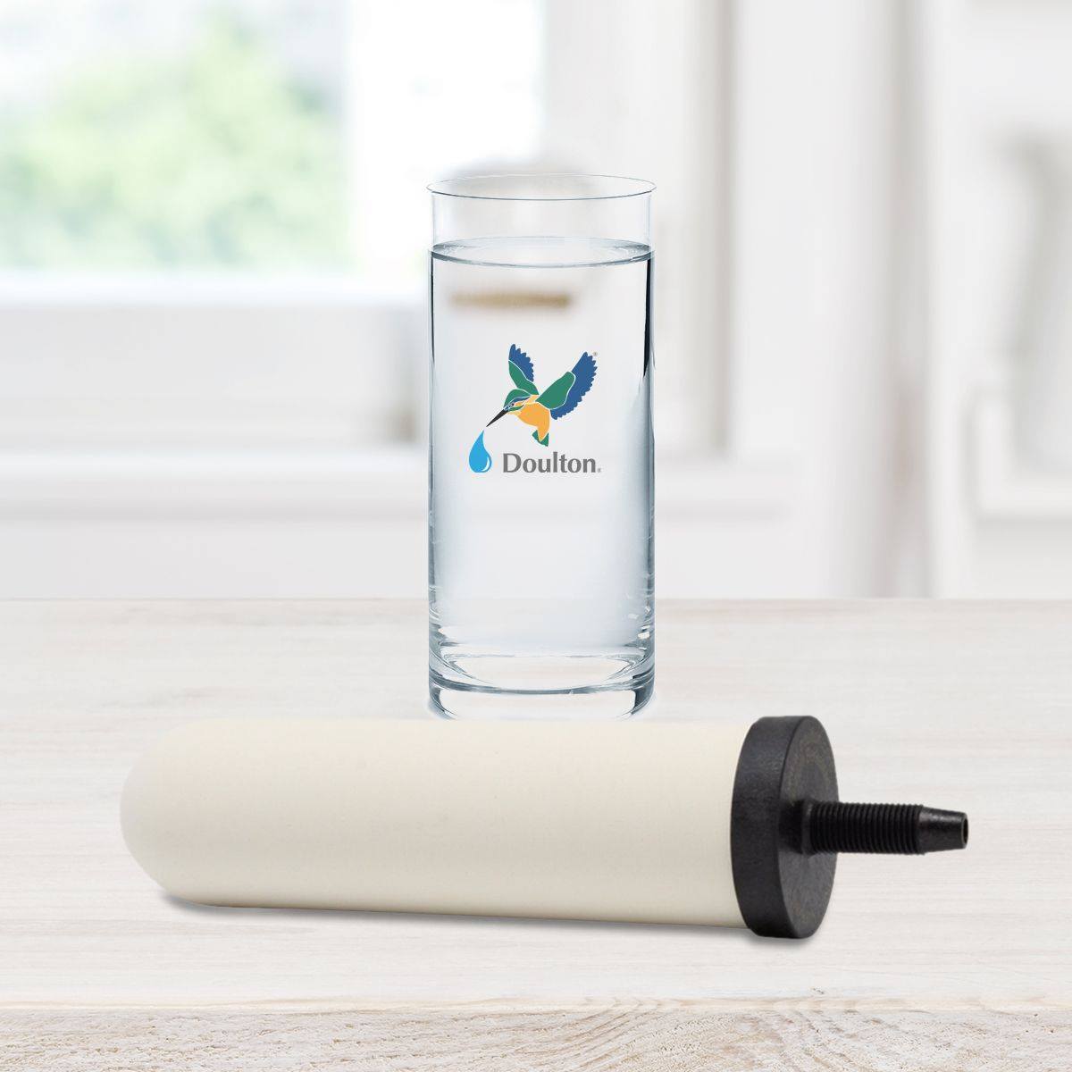 Demo: Ceramic Water Filter cleaning & maintenance