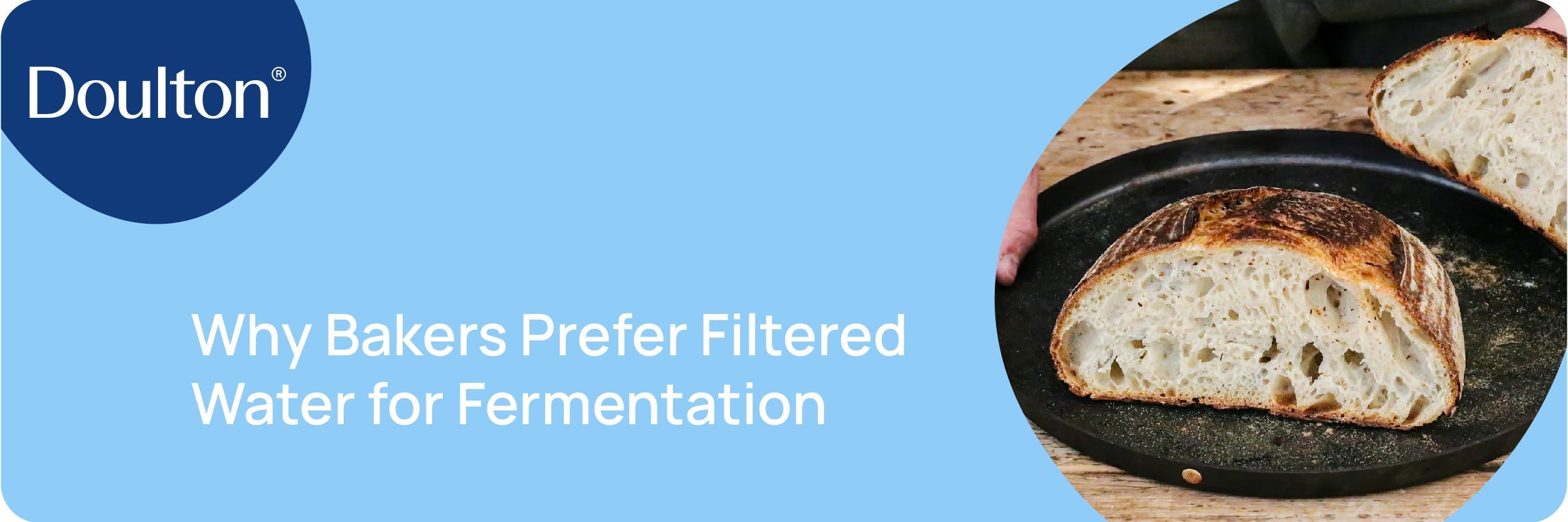 Why Bakers Prefer Filtered Water for Fermentation