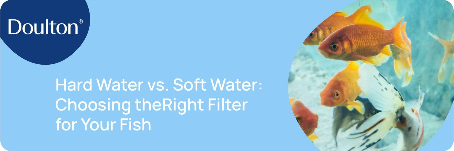 Hard Water vs. Soft Water: Choosing the Right Filter for Your Fish