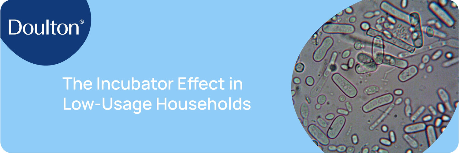 The Incubator Effect in Low-Usage Households