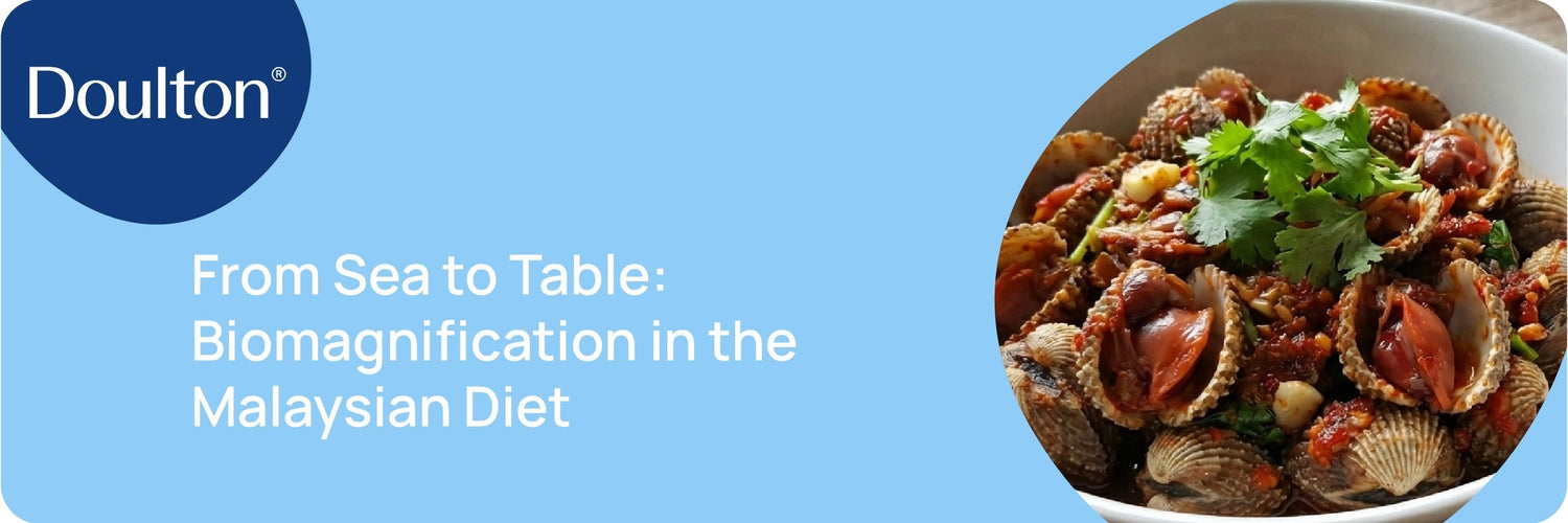 From Sea to Table: Biomagnification in the Malaysian Diet