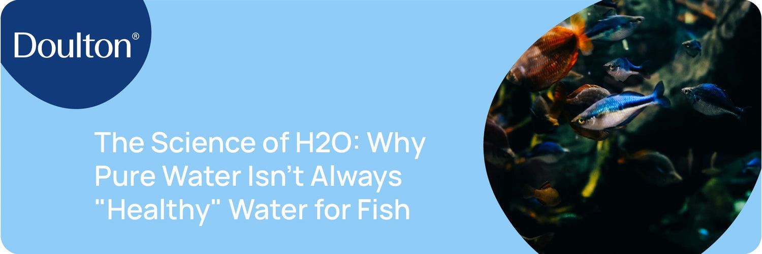 The Science of H2O: Why Pure Water Isn't Always "Healthy" Water for Fish
