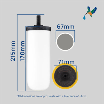 (2PC) Doulton® Ultra Fluoride (UFC 8B76) Drinking Water Filter Cartridge